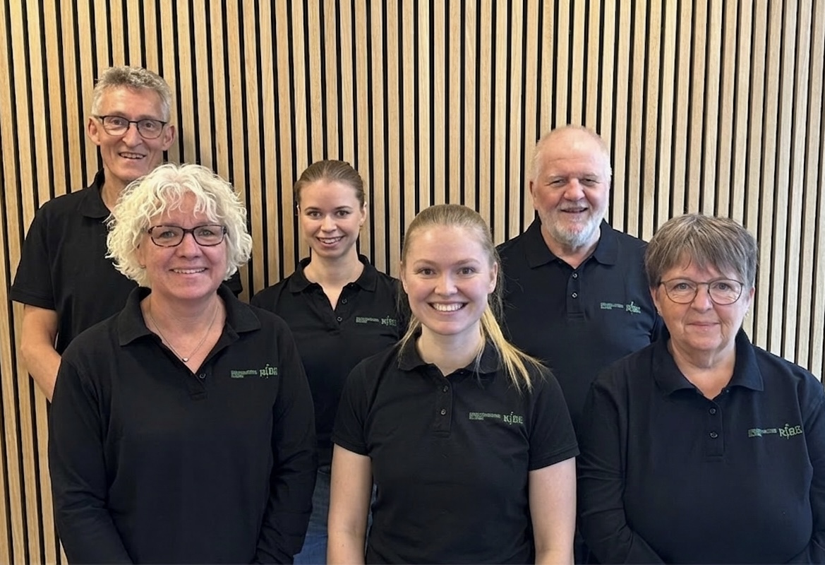 Kiropraktor Ribe hjælper mod rygsmerter